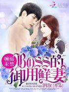 婚内试爱boss花式宠妻免费阅读