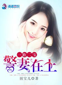 一胎二宝宠妻入骨