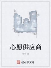 心愿景公司