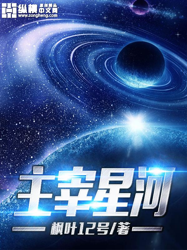 主宰星河txt全本