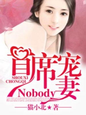 首席宠妻NObody主角