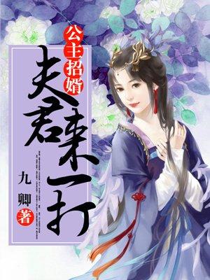 公主招婿夫君来一打完结了吗