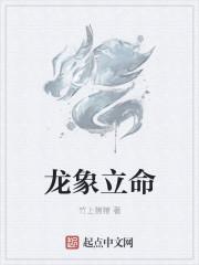 龙象是什么神兽