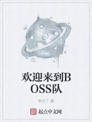 欢迎来到BOSS队 笔趣阁最新