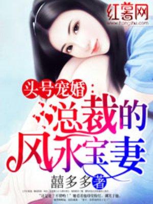 头号暖婚总裁先生超会宠