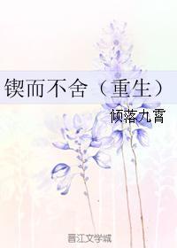 锲而不舍