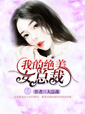 我的绝美女总裁丁哲免费阅读