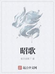 昭歌集成灶怎么样