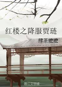 红楼从今我就是贾琏