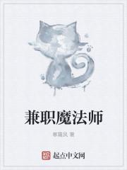 兼职魔法师txt