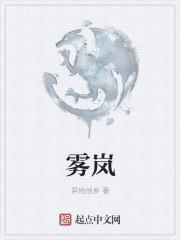 雾岚什么意思