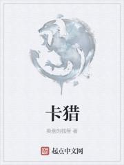 卡猎龙卷帘盖