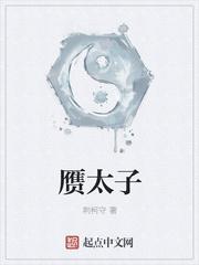 赝太子讲的什么