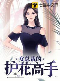 女总裁的护花高手王易