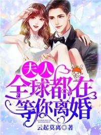 夫人全球都在等你离婚完结版