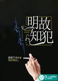 明知故犯的意思