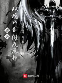 诸天从魂师到维度魔神