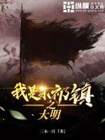 大明之我是朱祁镇完结版