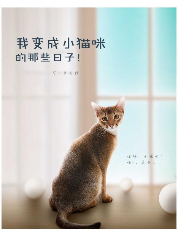 我变成了小猫作文400字左右