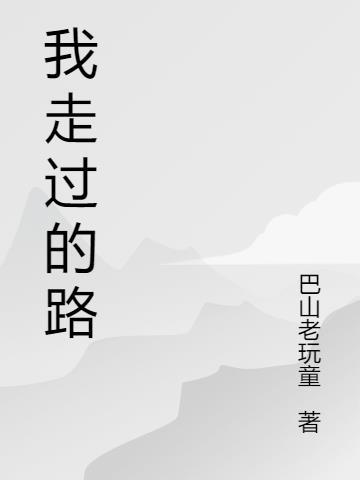 我走过的路爱过的人是什么歌