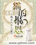 猫的报恩4K电脑壁纸