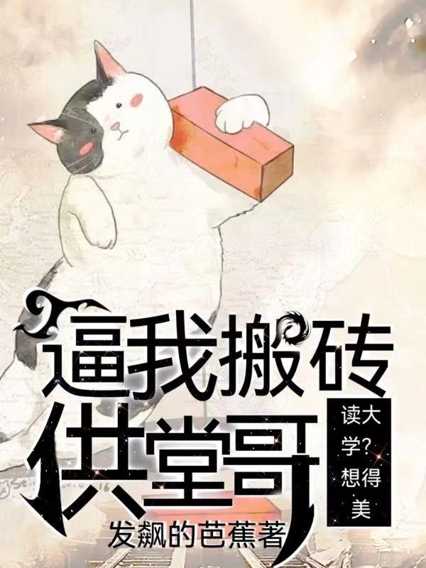 给我去搬砖