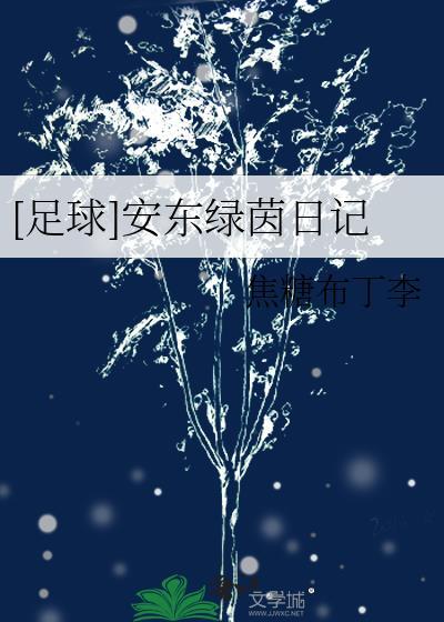 足球安东绿茵日记焦糖布丁