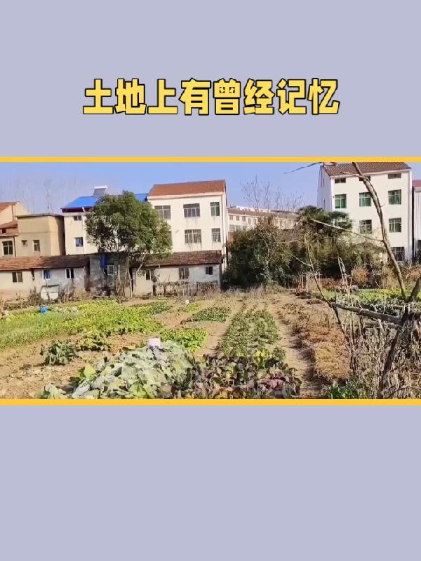 土地上会什么意思