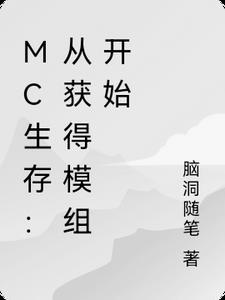 mc如何获得模组