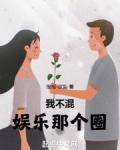 我不混娱乐那个圈起点