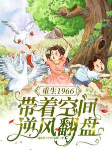 带着空间重回63年