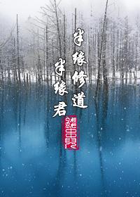 半缘修道半缘君GL-