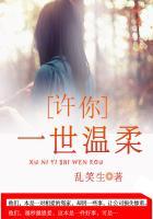 许你一世温柔叶落无心作品精选集 叶落无心