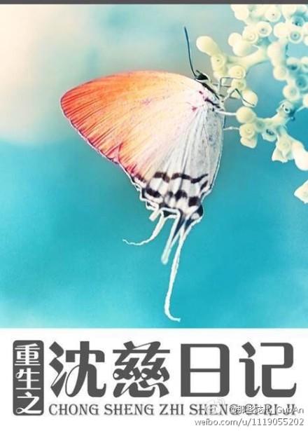 重生之沈慈日记 慕夏衣