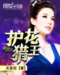 护花猎王无删减版