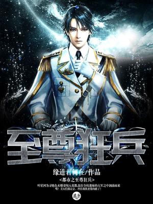 都市之至尊狂龙叶星河完整版