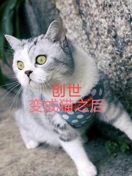 创世变成猫之后